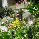 Roglic Rab Town