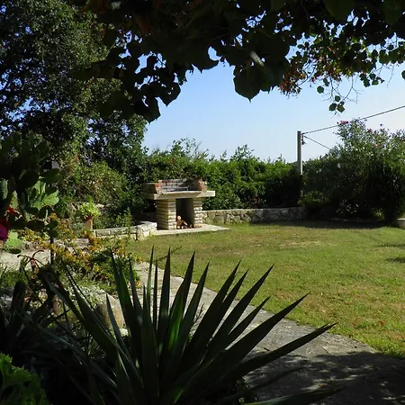 Roglic Apartment *