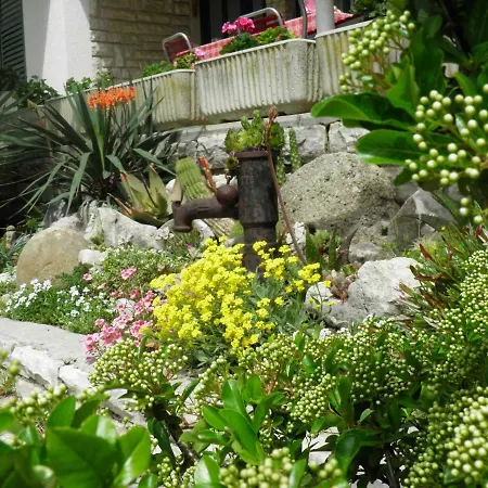 Roglic Rab Town